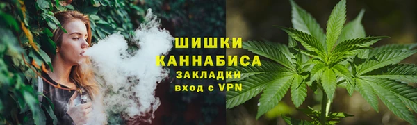 дмт Арсеньев