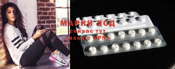 тгк Аркадак