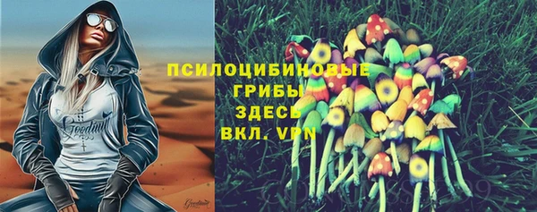 тгк Аркадак