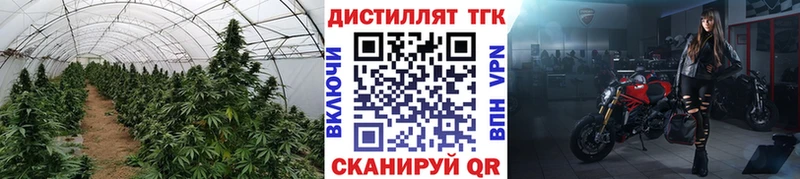 ТГК вейп Ивдель